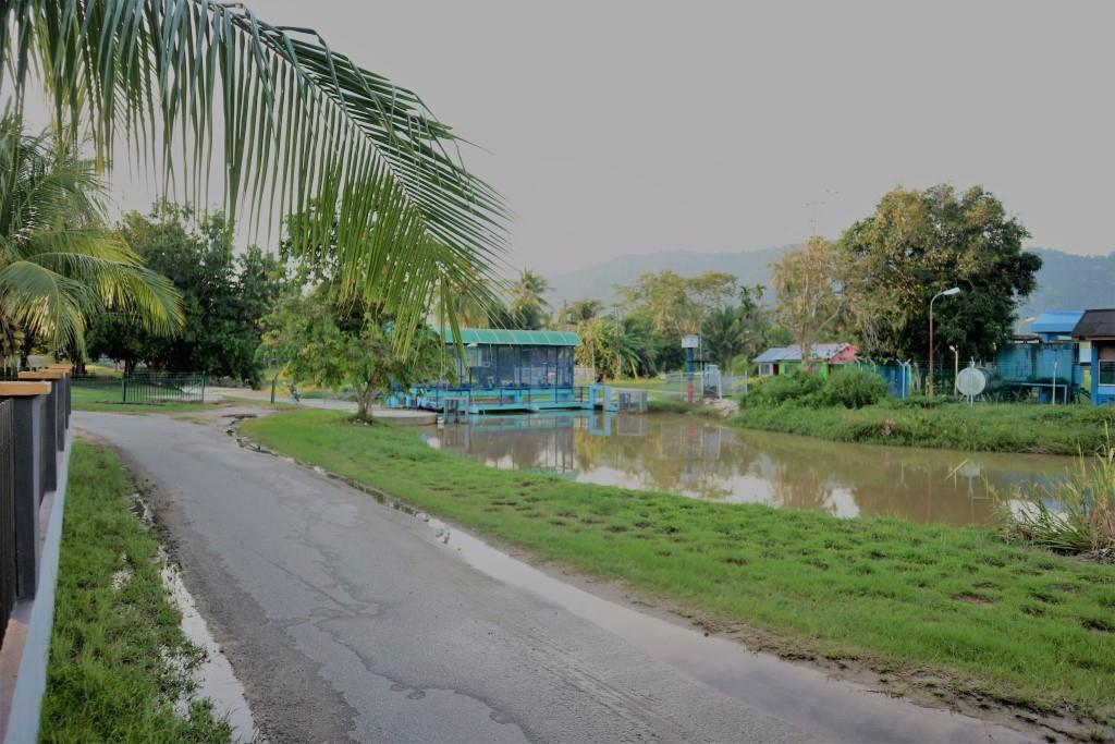 Padang Mat Sirat River View Cottage المظهر الخارجي الصورة