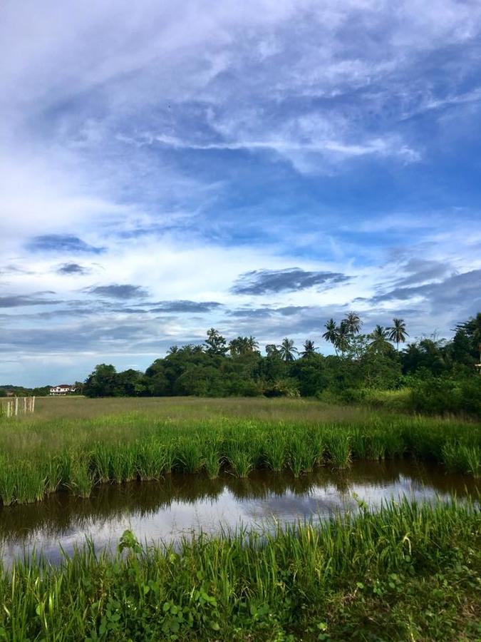 Padang Mat Sirat River View Cottage المظهر الخارجي الصورة